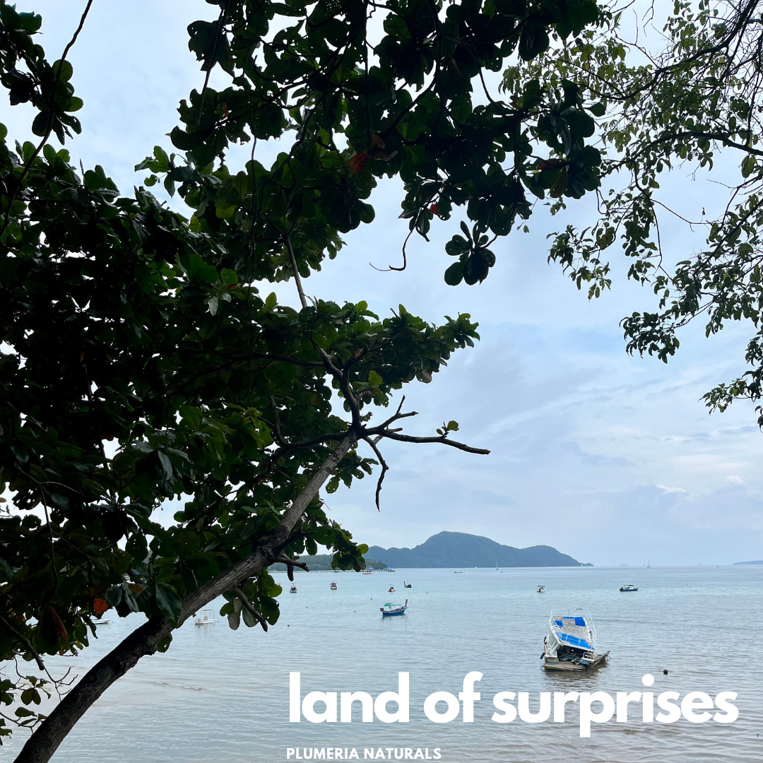 Thailand - the Land of Surprises